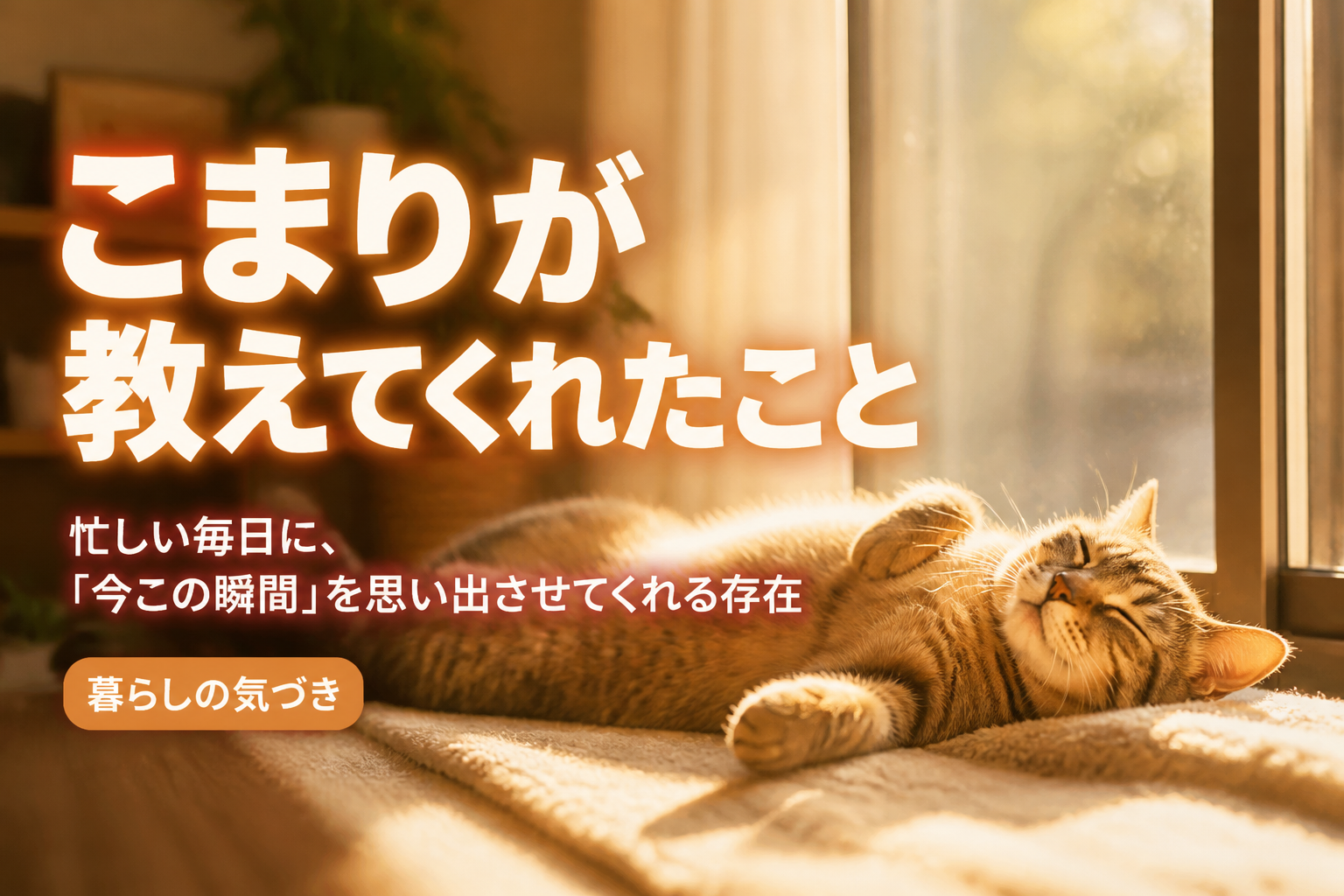 こまりが教えてくれたこと