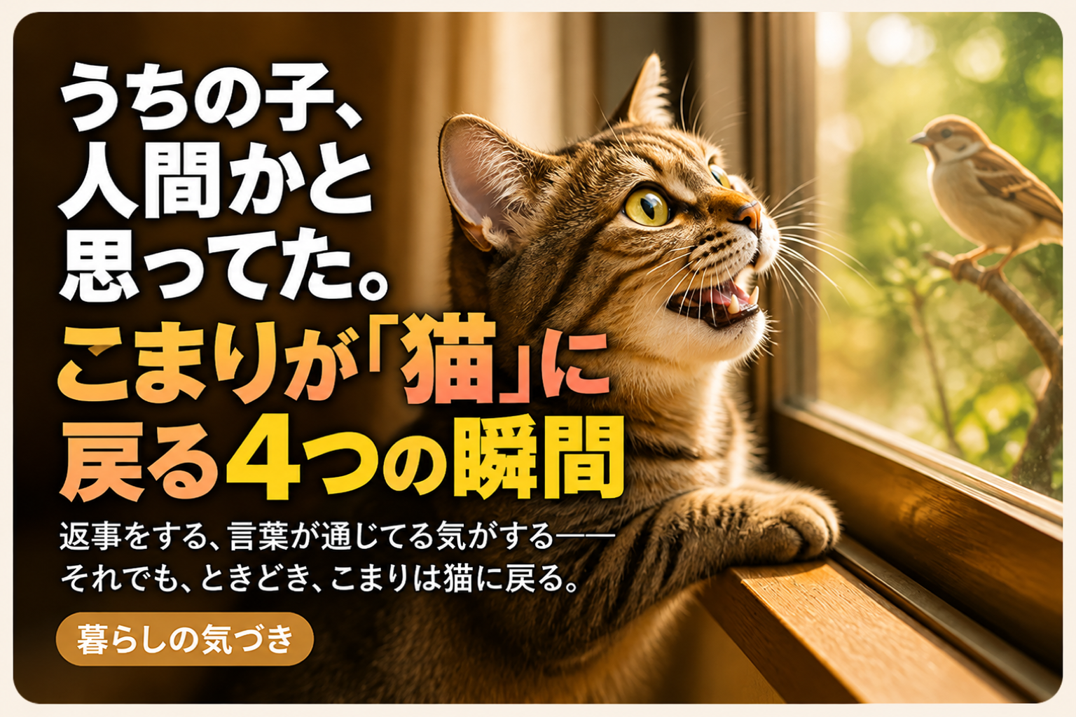 うちの子、人間かと思ってた。こまりが「猫」に戻る4つの瞬間