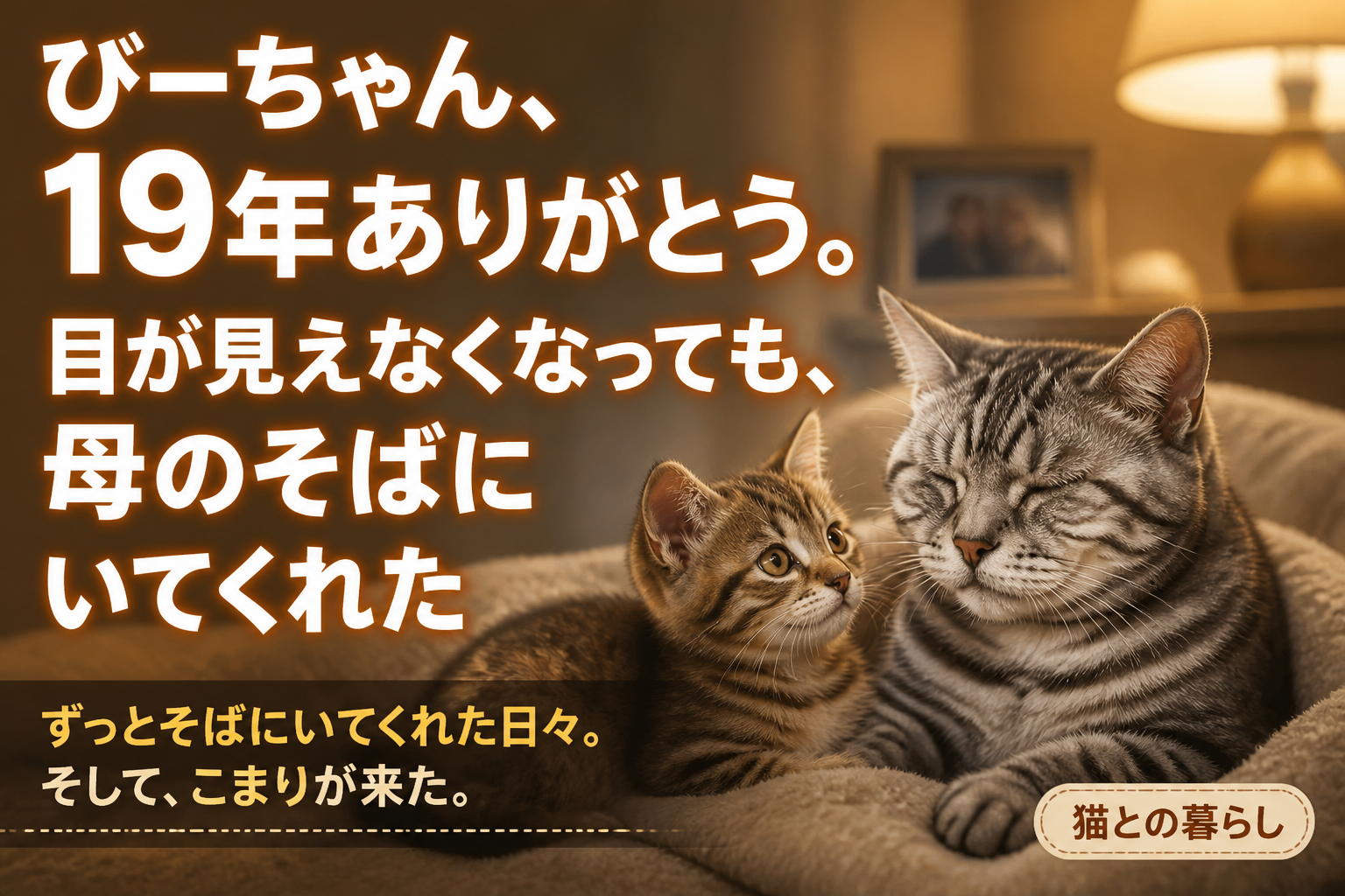 ぴーちゃん、19年ありがとう。目が見えなくなっても、母のそばにいてくれた